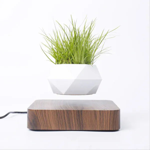 Levitating Air Bonsai Pot | 360° Floating Magnetic Plant Planter for Home & Desk Decor