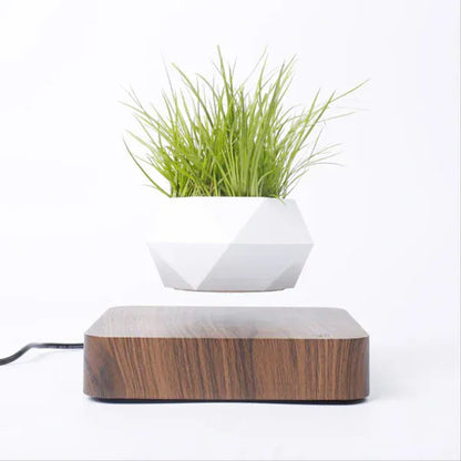 Levitating Air Bonsai Pot | 360° Floating Magnetic Plant Planter for Home & Desk Decor