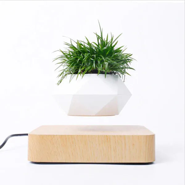Levitating Air Bonsai Pot | 360° Floating Magnetic Plant Planter for Home & Desk Decor