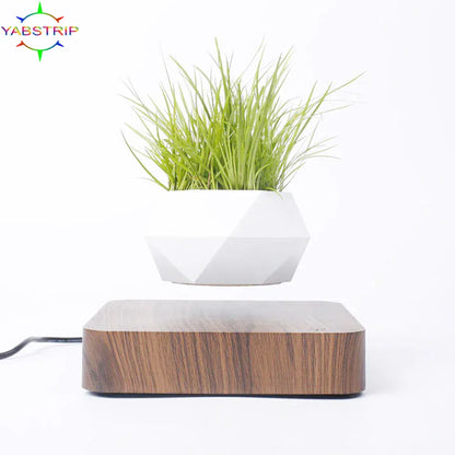 Levitating Air Bonsai Pot | 360° Floating Magnetic Plant Planter for Home & Desk Decor