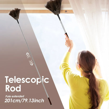 Rozkładana miotełka ze strusich piór z długą rączką ze stali nierdzewnej | Naturalna szczotka do czyszczenia z piór do domu, wentylatorów sufitowych i mebli – na sprzedaż w Polsce