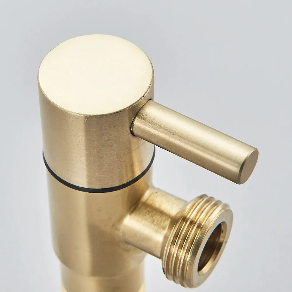 Ręczny bidet ze stali nierdzewnej do toalety – nowoczesny, higieniczny natrysk prysznicowy (czarny / nikiel / złoty) 