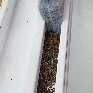 Narzędzie do czyszczenia rowków 2 w 1 Kreatywna ściereczka do czyszczenia rowków okiennych Szczotka do czyszczenia okien Szczotka do czyszczenia rowków okiennych