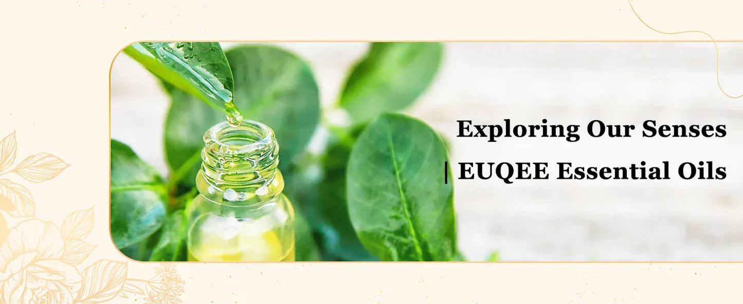 EUQEE 118 ml Czyste Olejki Eteryczne – Naturalne Olejki Aromaterapeutyczne do Dyfuzorów, Świec i Mydła (Wiele Zapachów) 