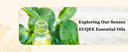 EUQEE 118 ml Czyste Olejki Eteryczne – Naturalne Olejki Aromaterapeutyczne do Dyfuzorów, Świec i Mydła (Wiele Zapachów) 